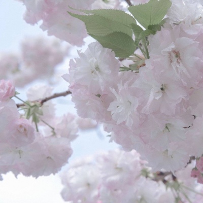 兽设海洋场景设计FurryQQ群