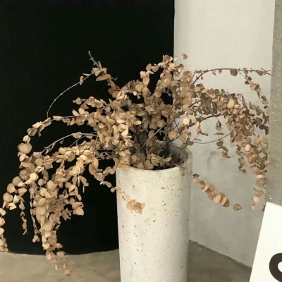 Furry数位绘画技巧兽圈群